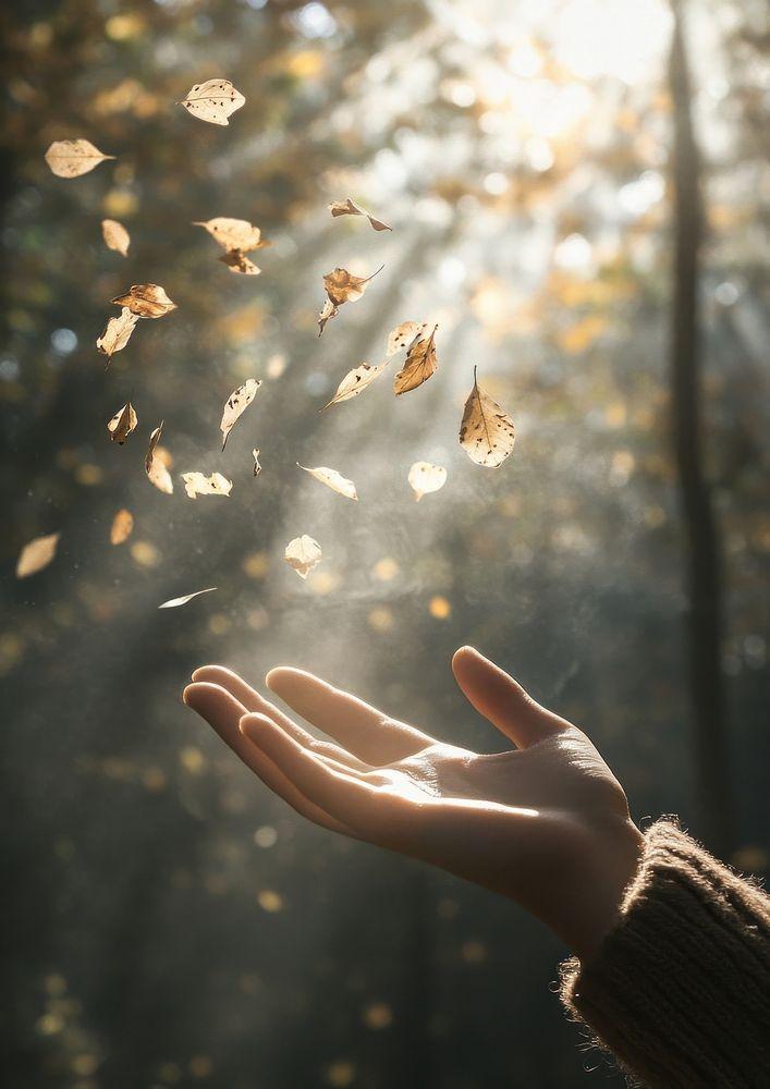 Let Go of What No Longer Fits